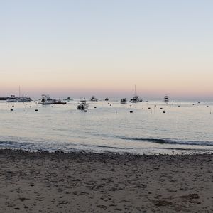 Meet your Posher, J.Lynn